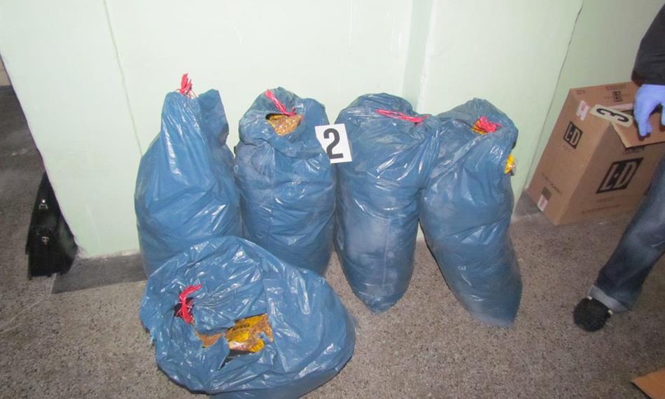 2013-11-21-1553akce_Holič (2).JPG